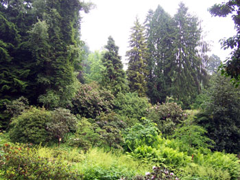 botanischergartenbi5.jpg