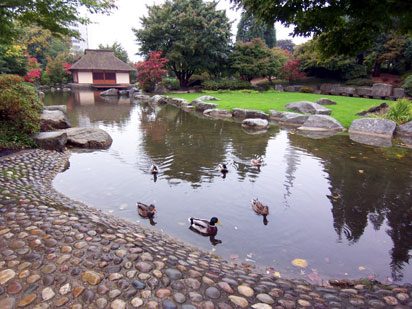 botanischergartenhamburg2.jpg