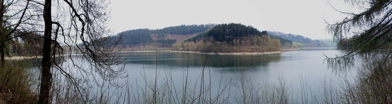 hennesee1.jpg