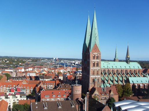 petri5.jpg