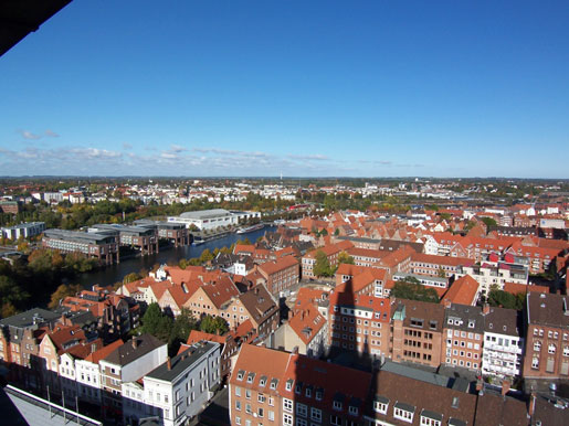 petri8.jpg