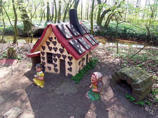 wald1.jpg