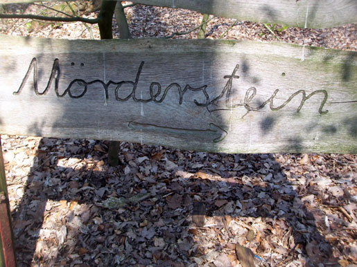 wald11.jpg