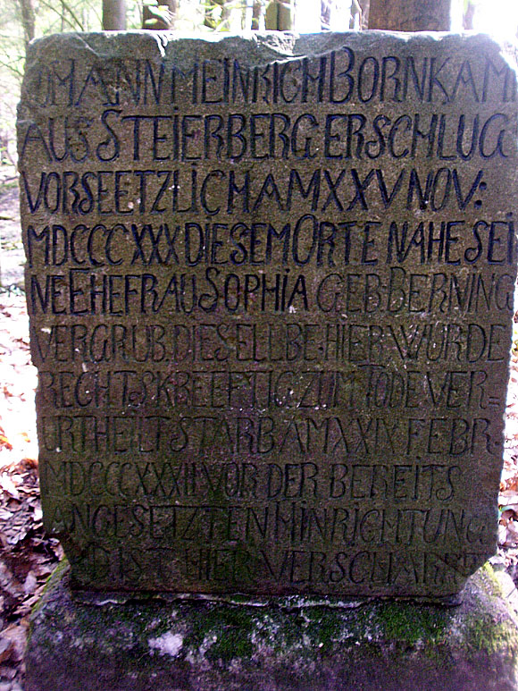 wald12.jpg