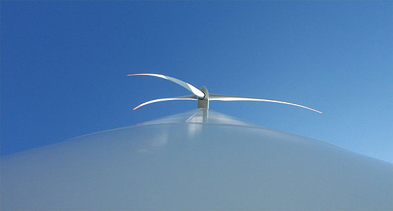 windpark6.jpg